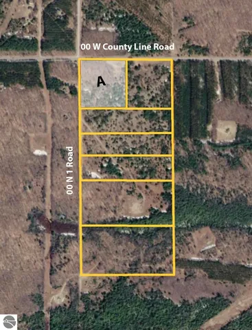W  County Line Rd, Buckley, MI 49620