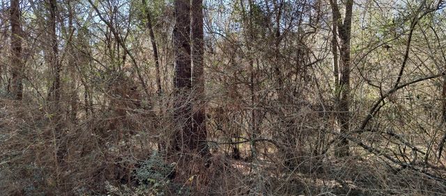 Pecan Dr, Lumberton, MS 39455