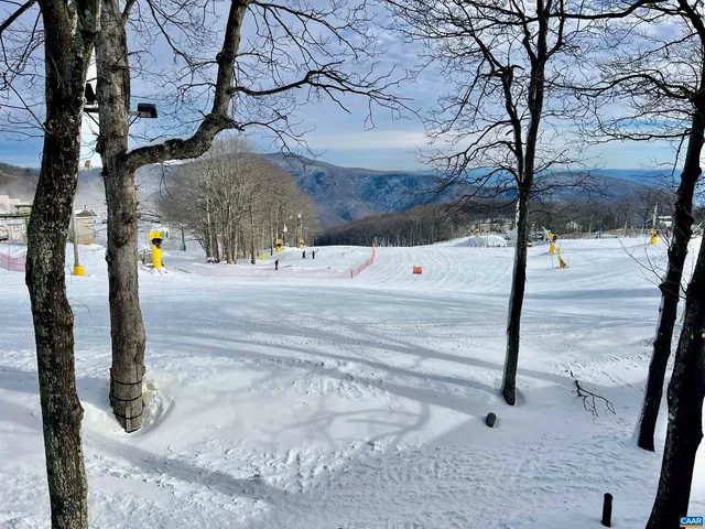255 Timbers, Wintergreen Resort, VA 22967