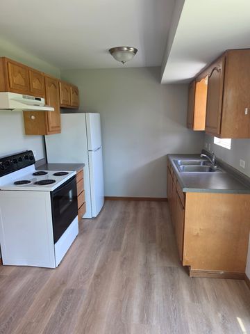 103 Bannon Dr #3E, Dwight, IL 60420