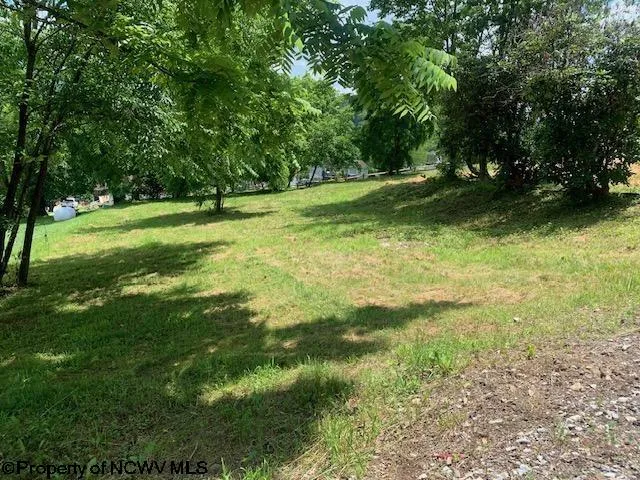 254 3rd St, Belington, WV 26250