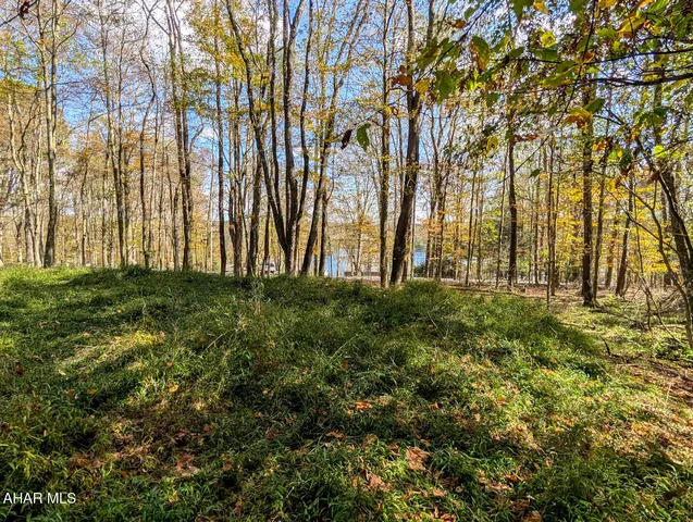 125 N  Peninsula Dr, Central City, PA 15926