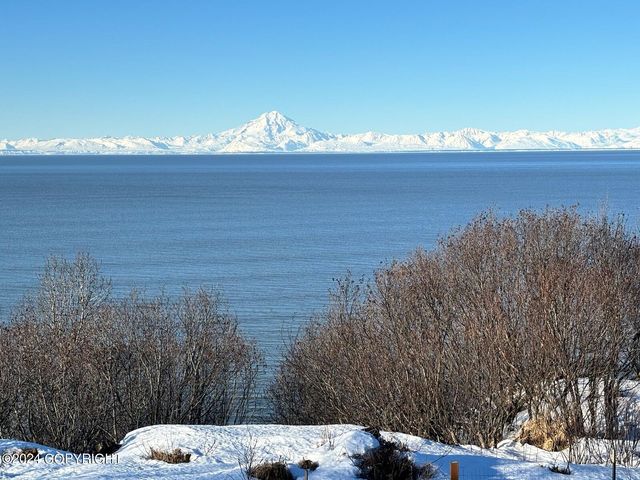 17295 Discovery Dr, Clam Gulch, AK 99568