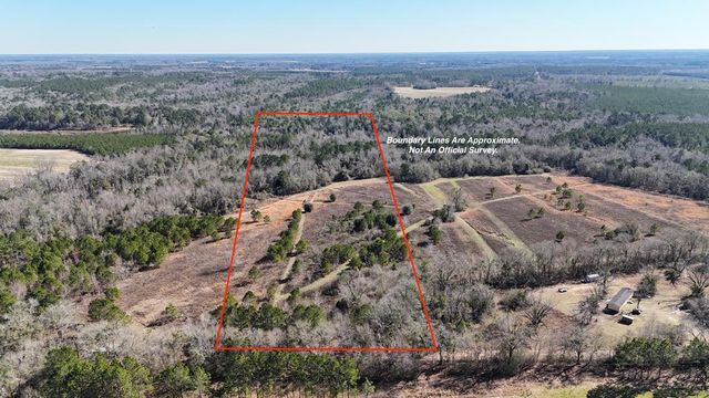 Vacant Off Kelly Collins Rd, Climax, GA 39834