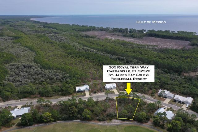 305 Royal Tern Way, Carrabelle, FL 32322