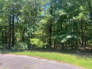 BL33 L29 Bordeaux Place, Mc Cormick, SC 29835