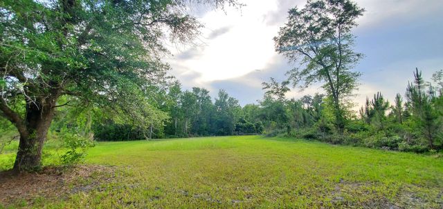 Vacant Mount Gilead Rd, Greenville, FL 32331