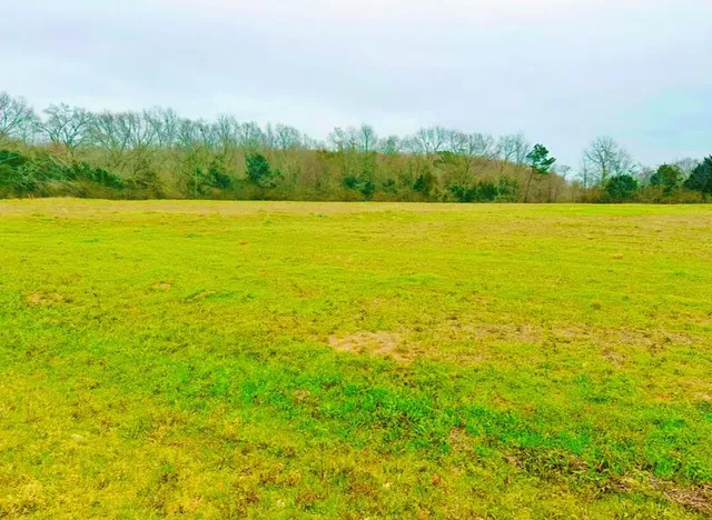 N  County Road 49, Slocomb, AL 36375