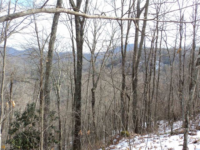 Evans Creek Rd, Scaly Mountain, NC 28775