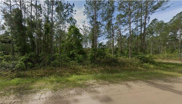 10720 Beckenger Avenue, Hastings, FL 32145