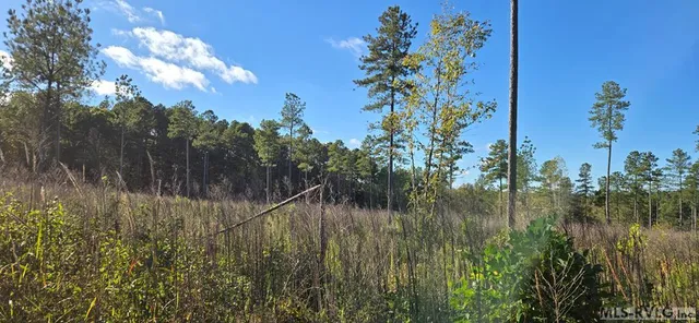 LOT Millville Rd #A, Lawrenceville, VA 23868