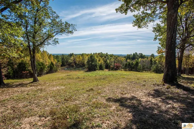 Lone Star Tower Rd, Bonnieville, KY 42713
