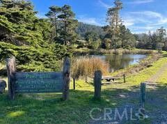 15741 Forest View Rd, Manchester, CA 95459