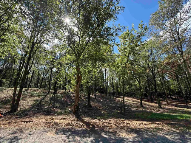 310 County Road 1123, Vinemont, AL 35179