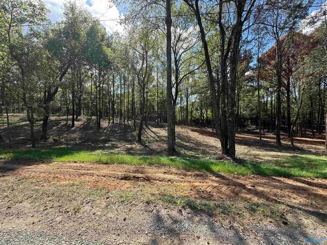 12A County Road 1123, Vinemont, AL 35179