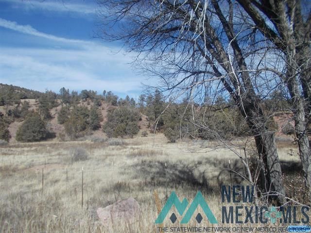 LOT 2a Highway 15 Hwy, Mimbres, NM 88049