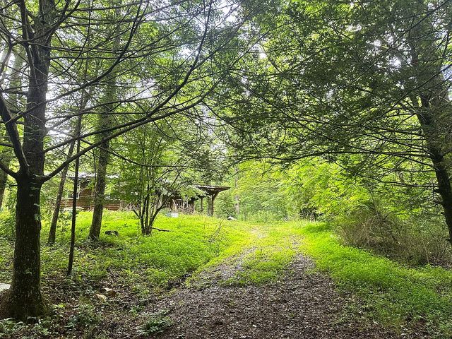 134 Charles Rd, Ellijay, GA 30540