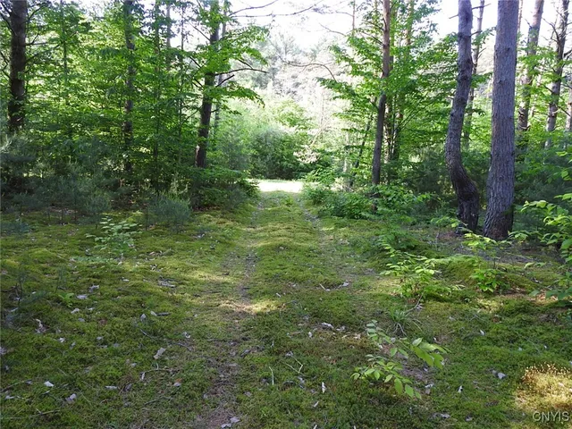 5206 Rugby Rd #31, Brantingham, NY 13312