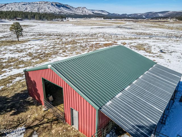 42856 US Highway 180, Alpine, AZ 85920