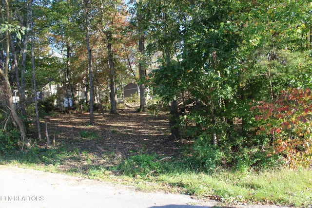 Abby Ln, Jacksboro, TN 37757