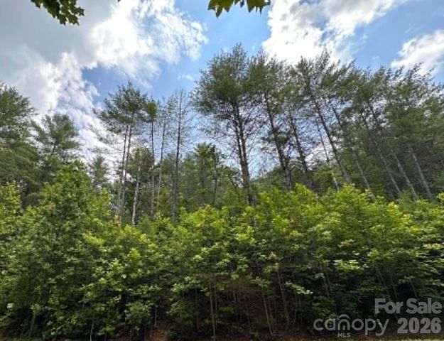 Rock Cliff Dr, Collettsville, NC 28611