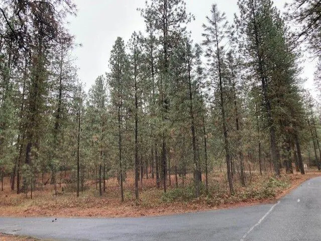 10XX Harberd Way, Kettle Falls, WA 99141