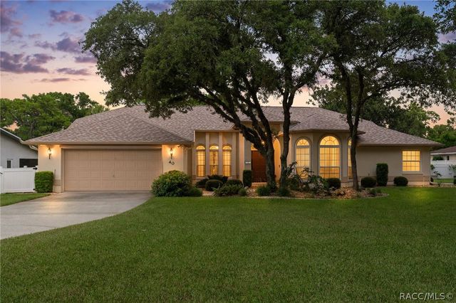 40 Chinkapin Cir, Homosassa, FL 34446