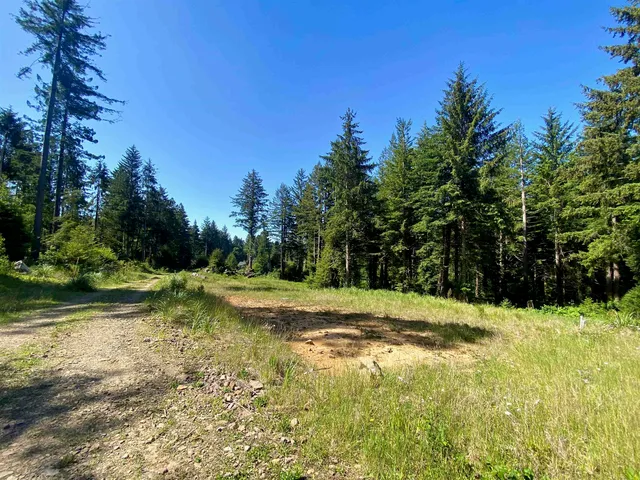 Noels Way, Crescent City, CA 95531