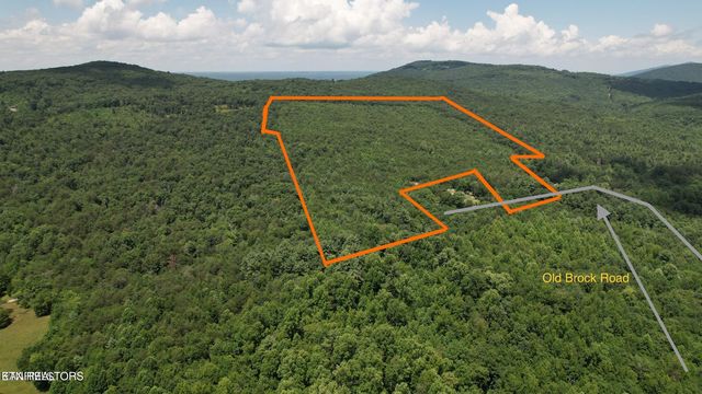 Shady Oaks Dr, Spring City, TN 37381