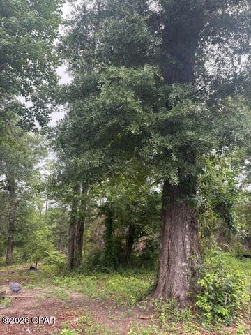 2435 Douglas Pond Rd, Marianna, FL 32446
