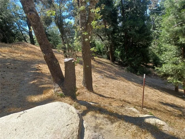 Pine Trl, Twin Peaks, CA 92391