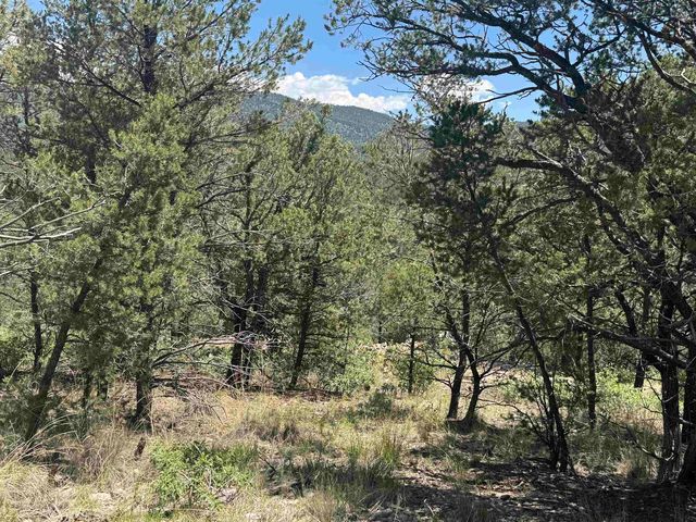 Coleridge Dr, Timberon, NM 88350