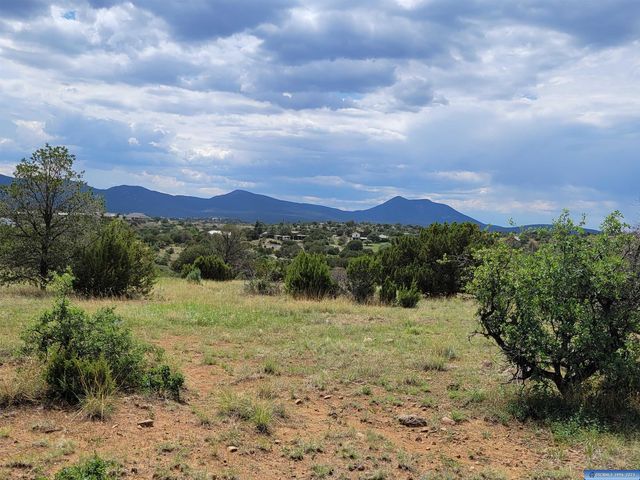 Chamise Rd, Silver City, NM 88061