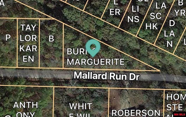 002-03434-000 Mallard Run Ave, Mountain Home, AR 72653