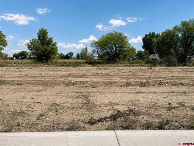 Lot 6 TBD Cunningham Street, Delta, CO 81416