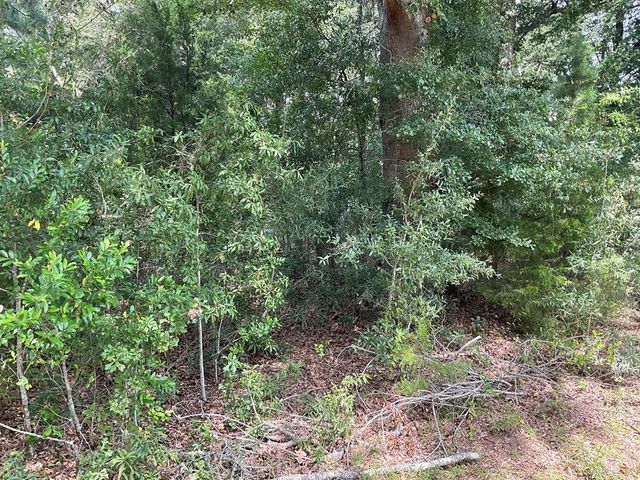 Lot 1 Sweetwater Ave, Albany, GA 31721