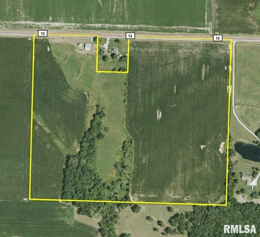 Emmerson Airline Rd, Girard, IL 62640