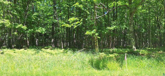 xxx South Shore Rd Lot 4, Block 2 South Shore Woodlands, La Pointe, WI 54850