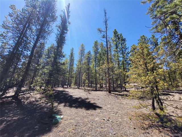 48 Lodgepole Drive, Twin Lakes, CO 81251