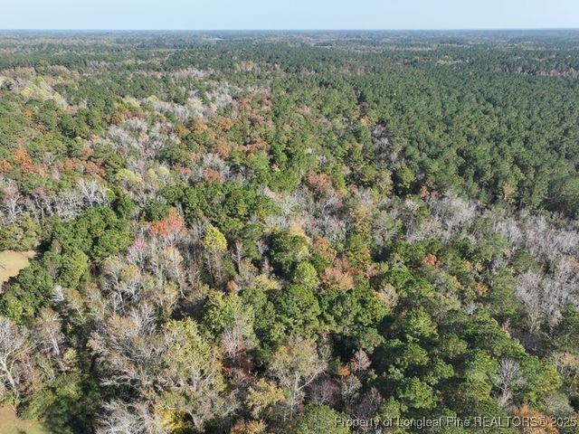 Mille Christine Rd, Whiteville, NC 28472