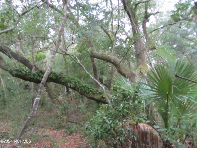 8 Leopard Frog Court LOT 18, Southport, NC 28461
