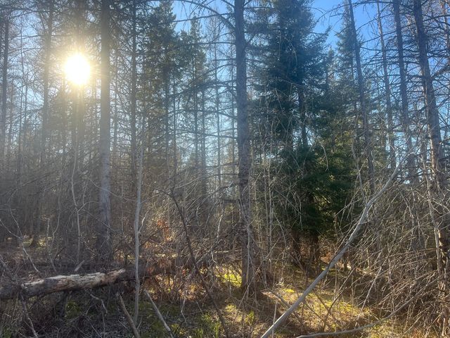 S  M 129, Pickford, MI 49774