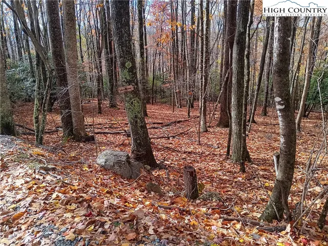 205 Rhododendron Drive, Banner Elk, NC 28604
