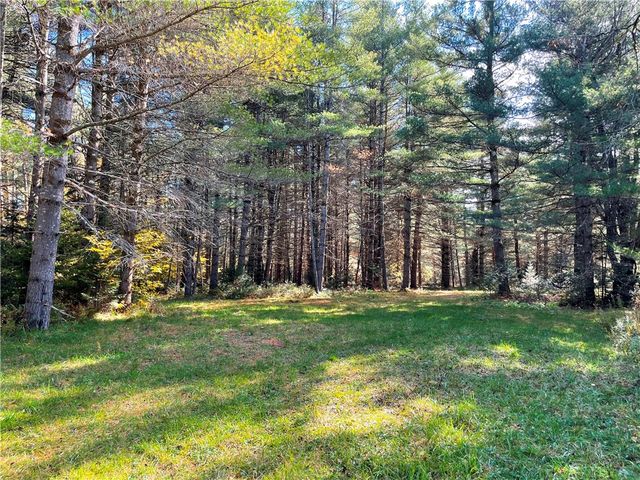 Lot 33 Nellis Rd, Cold Brook, NY 13324