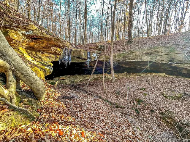 Chestnut Grove Rd, Tell City, IN 47586