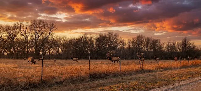 4276 Dead River Rd, Sulphur, OK 73086