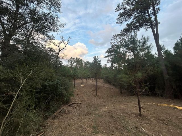 Tract 12 FM 230 #12, Lovelady, TX 75851