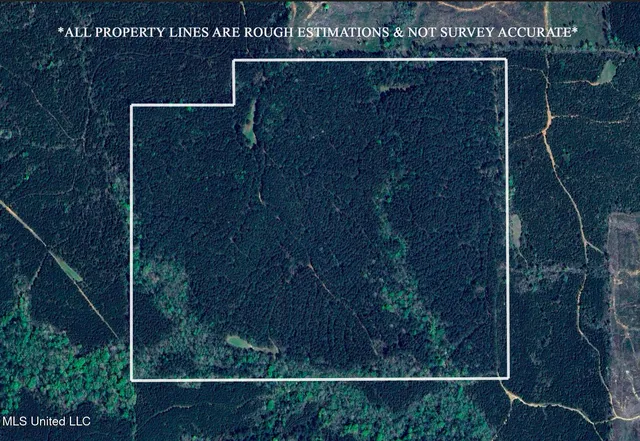 Liberty Church Rd, Meridian, MS 39301