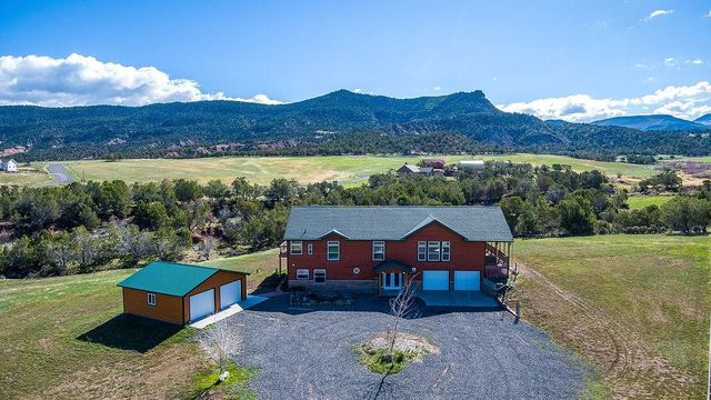 14250 S  Ouray Ct, Collbran, CO 81624