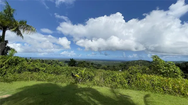 960 Km #2.3-lot B, Rio Grande, PR 00745